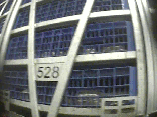 Ett lastbilssläp fullt med lådor med kycklingar