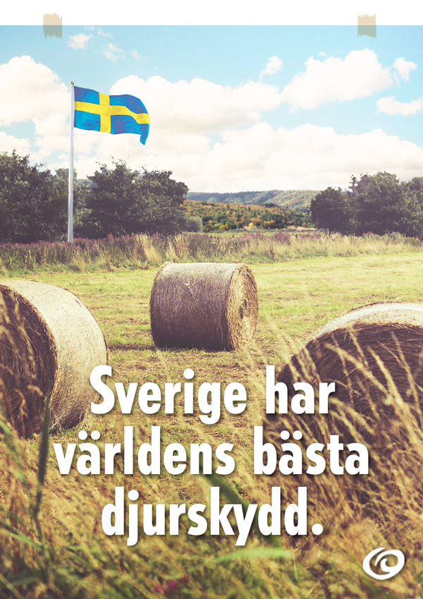 En illustration föreställande en poster med texten Sverige har världens bästa djurskydd